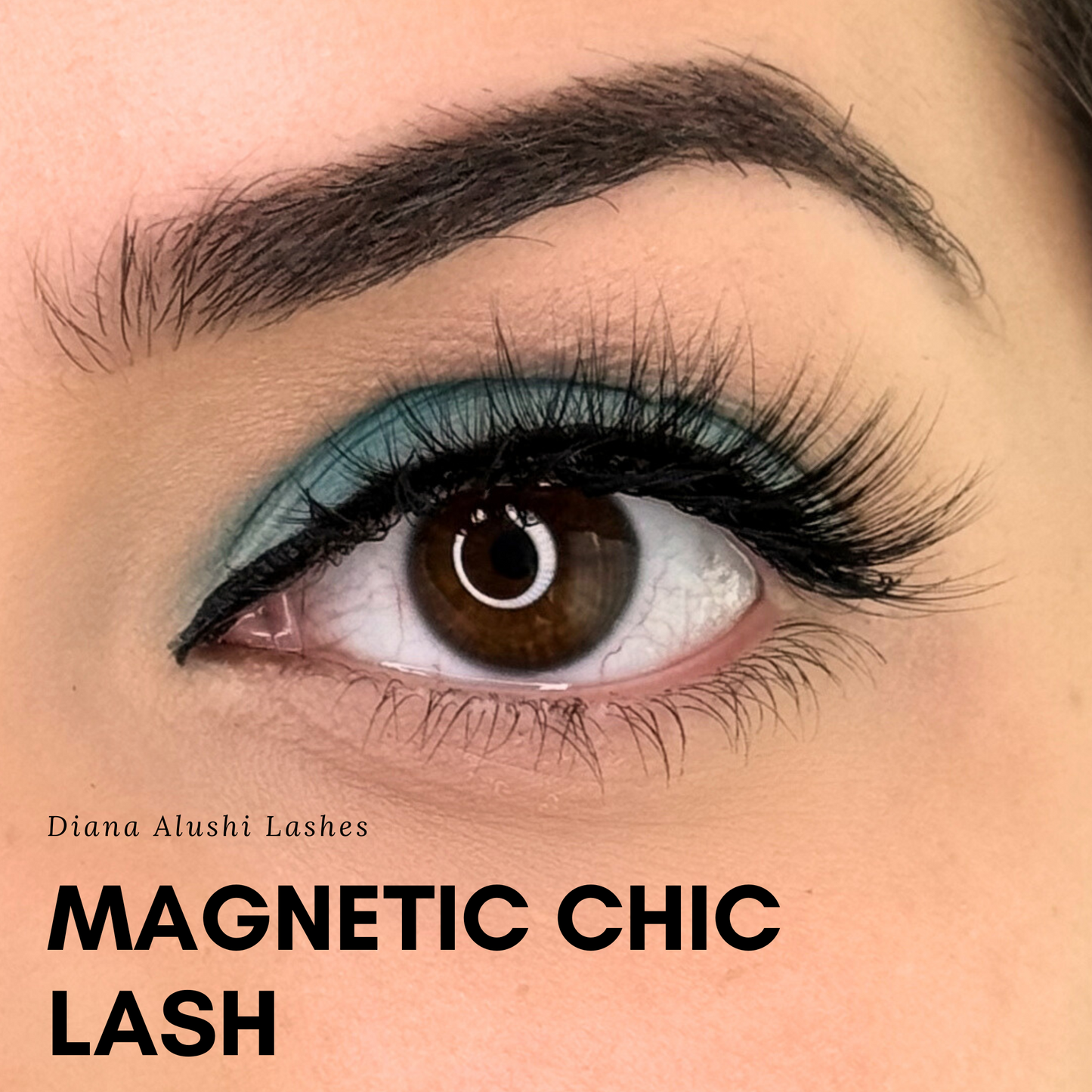 Magnetic Chic